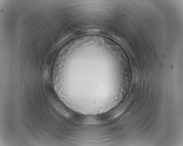 X0000081560573200702051152