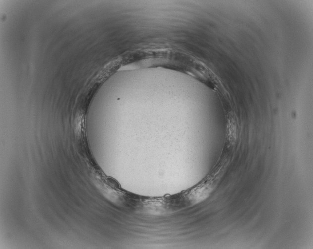 X0000081560574200702051152