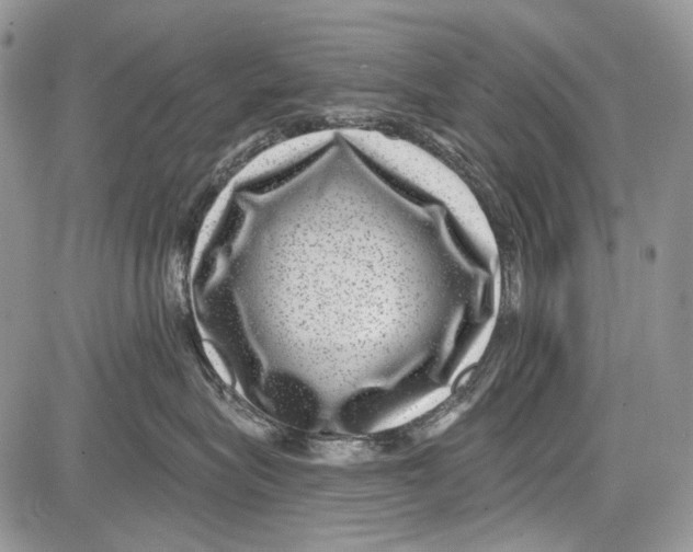 X0000081560575200702051152