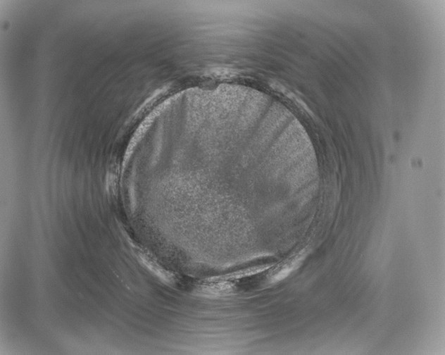 X0000081560576200702051152