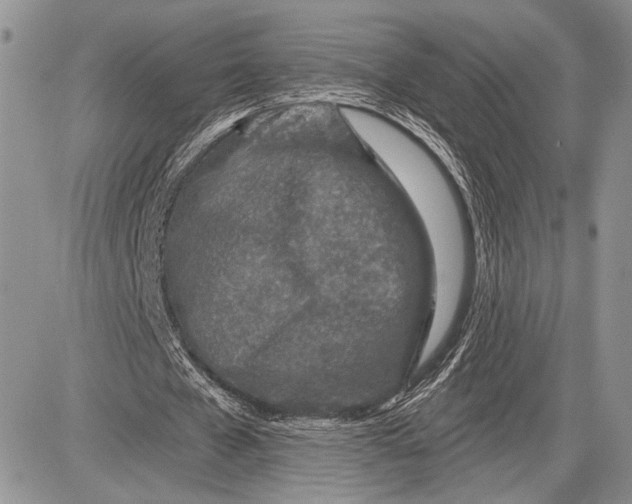 X0000081560577200702051151