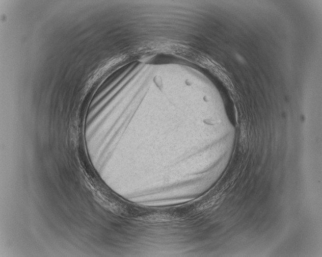 X0000081560578200702051151