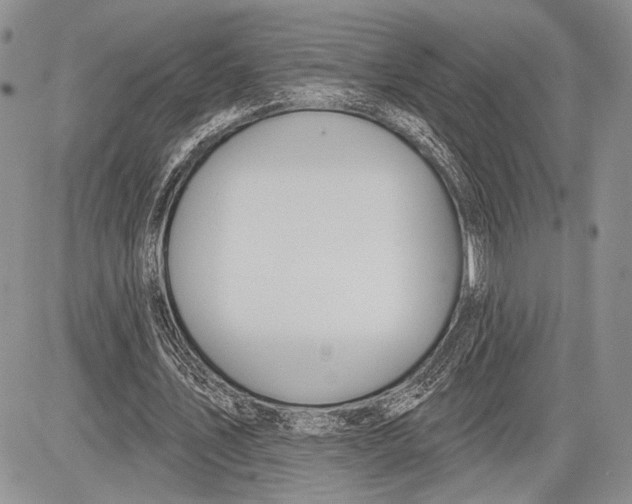 X0000081560579200702051151