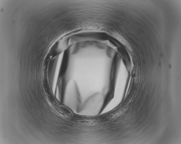 X0000081560580200702051151