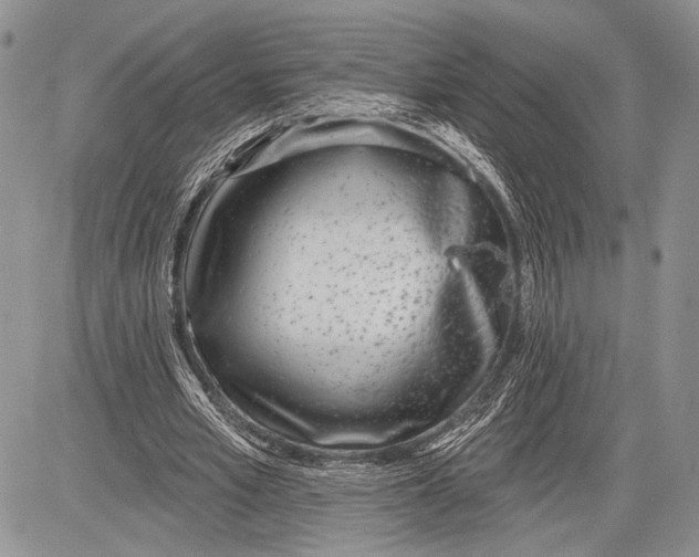 X0000081560581200702051151