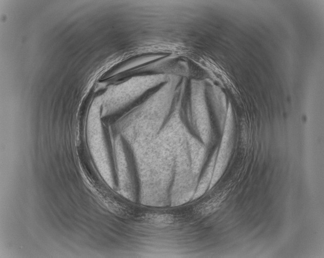 X0000081560582200702051151