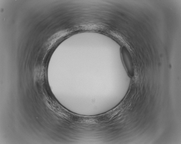 X0000081560583200702051151