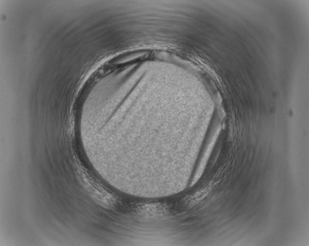 X0000081560584200702051151