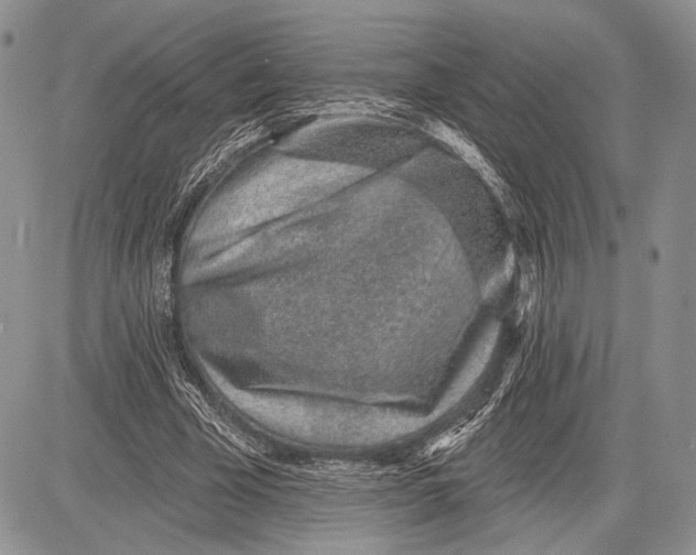 X0000081560585200702051151