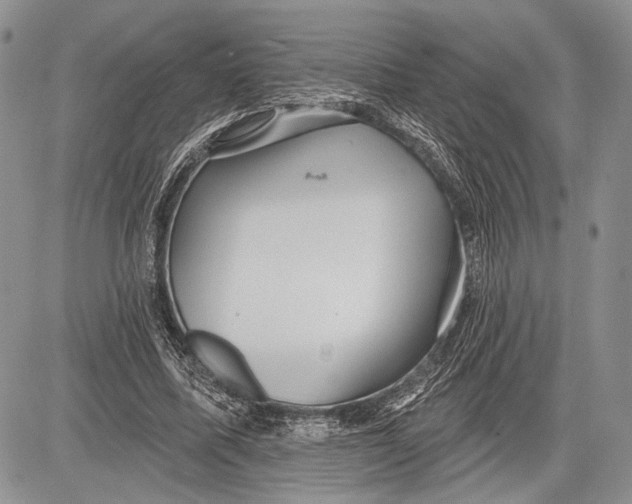 X0000081560587200702051151