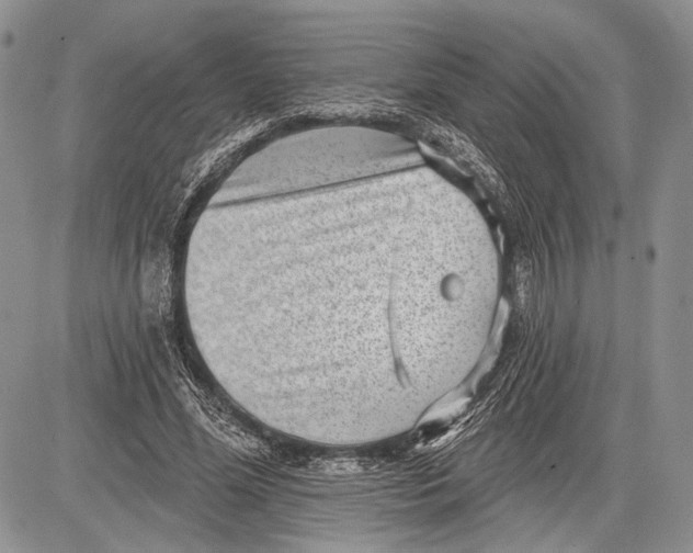 X0000081560588200702051151