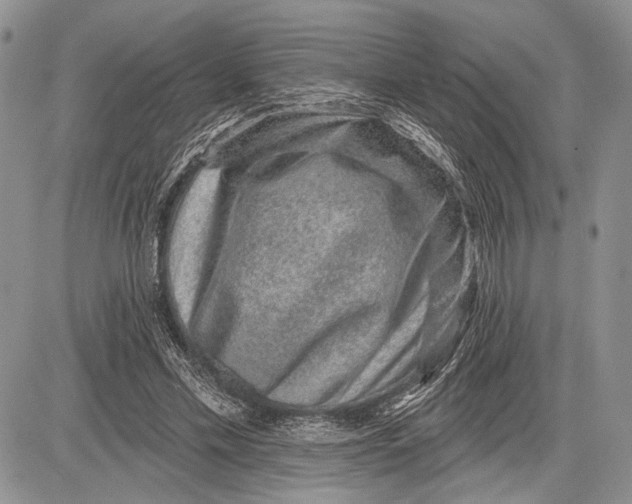 X0000081560589200702051151