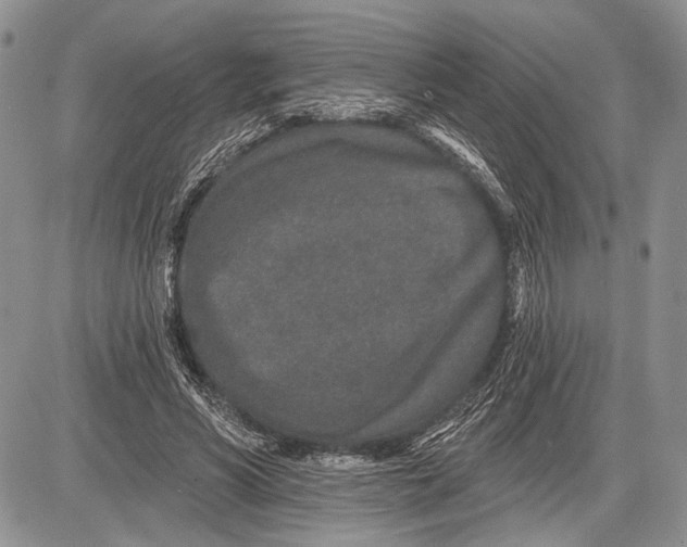 X0000081560590200702051151