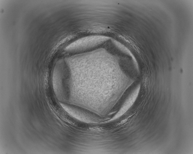 X0000081560591200702051151