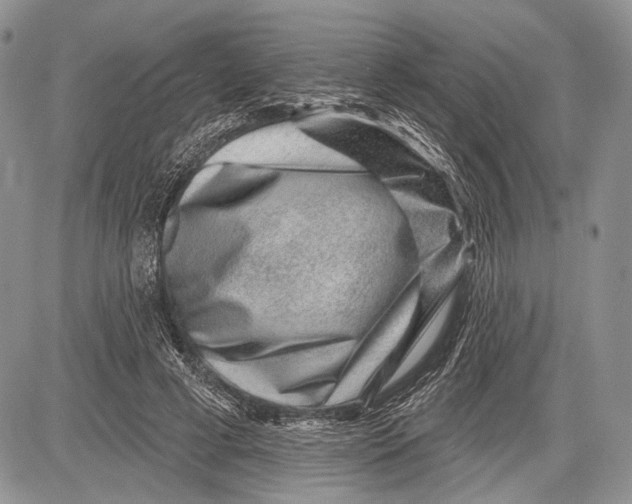 X0000081560593200702051151