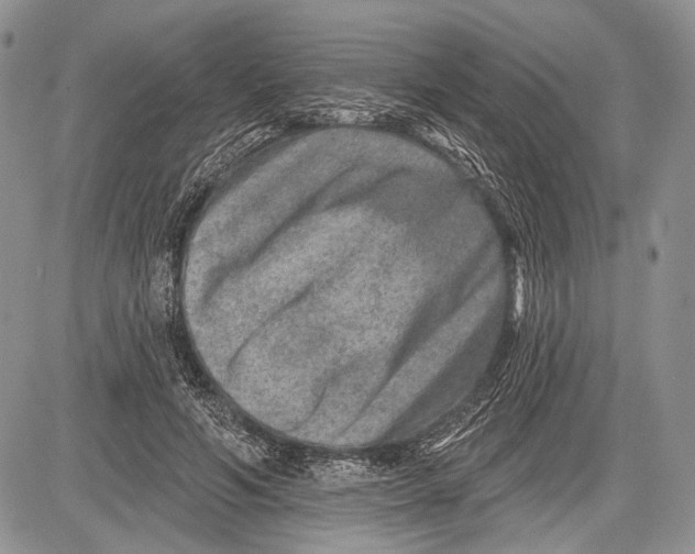 X0000081560594200702051151