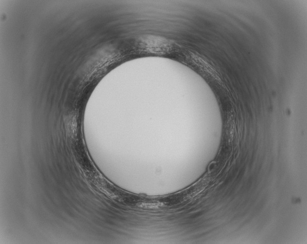 X0000081560595200702051151