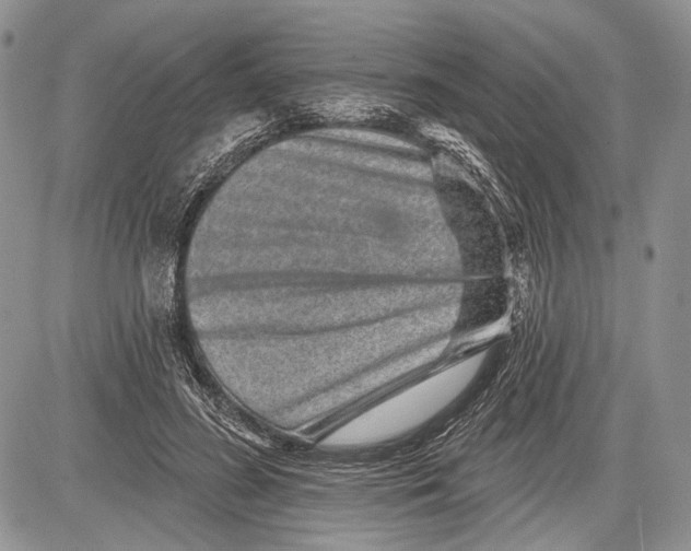 X0000081560596200702051151