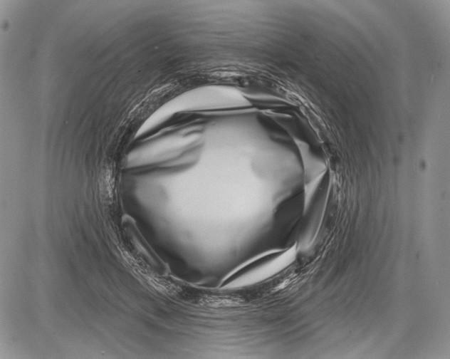 X0000081560597200702051151