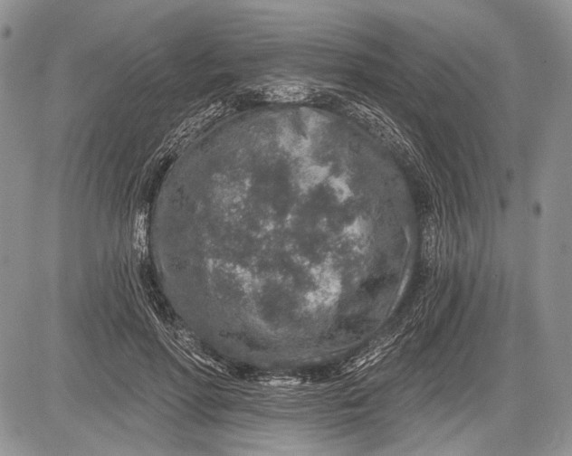 X0000081560598200702051151