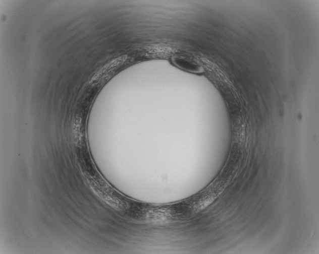 X0000081560599200702051151