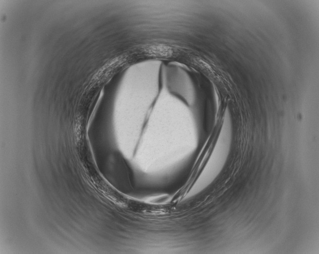 X0000081560600200702051151