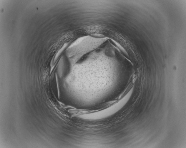 X0000081560601200702051151