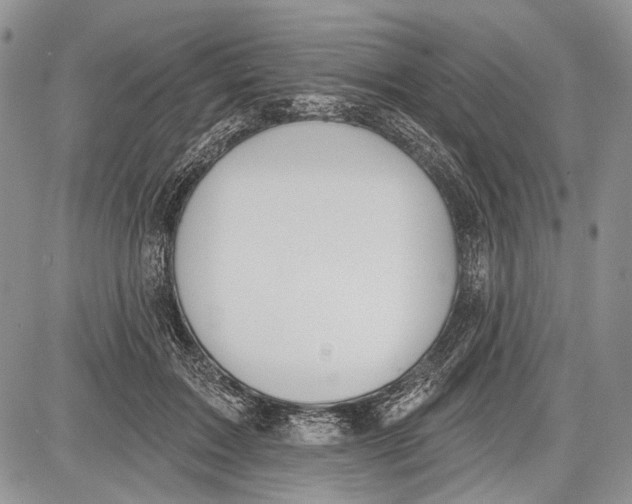 X0000081560603200702051151