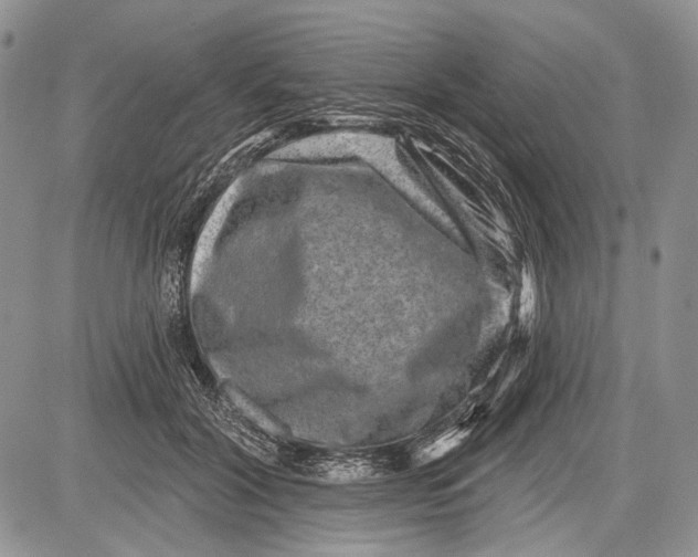 X0000081560604200702051151