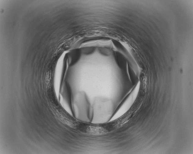 X0000081560605200702051151