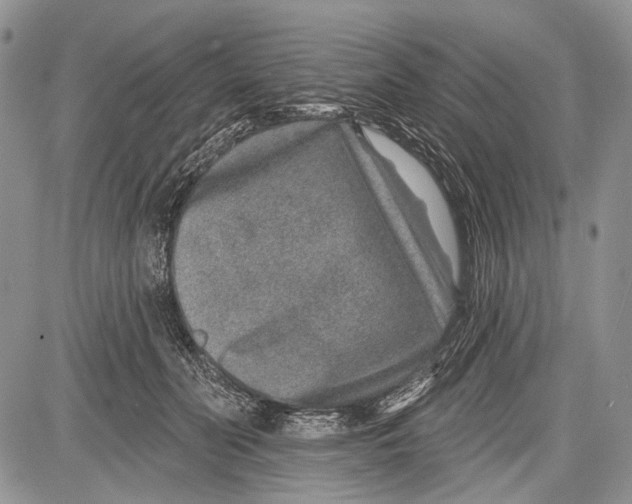 X0000081560606200702051151