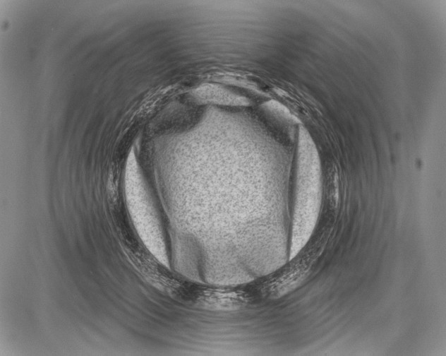 X0000081560607200702051151