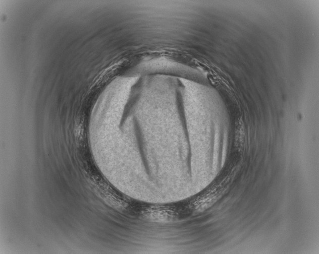 X0000081560608200702051151