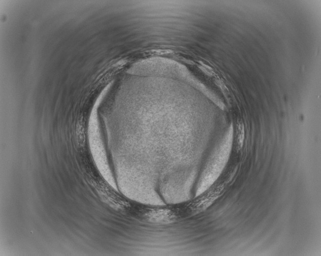 X0000081560609200702051151