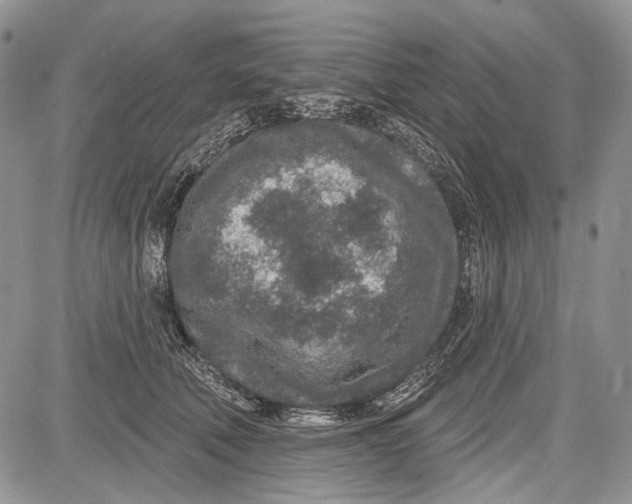 X0000081560610200702051151