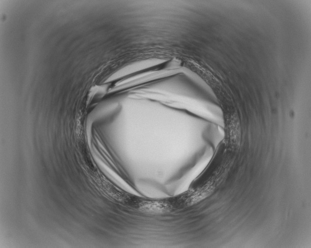 X0000081560611200702051151