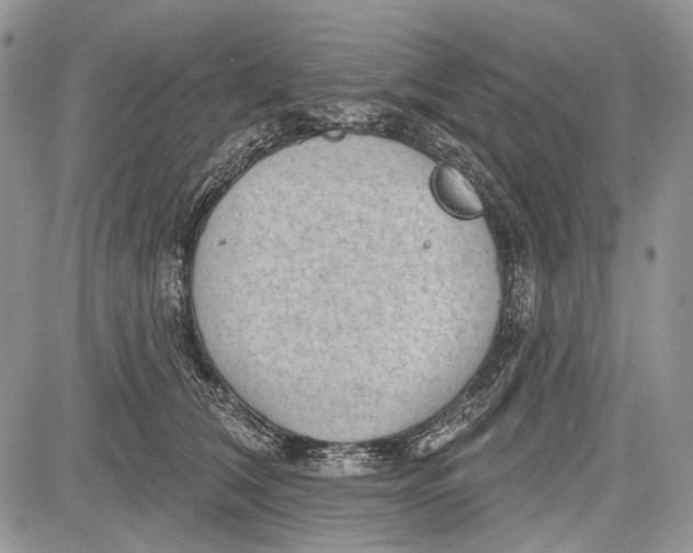 X0000081560612200702051151