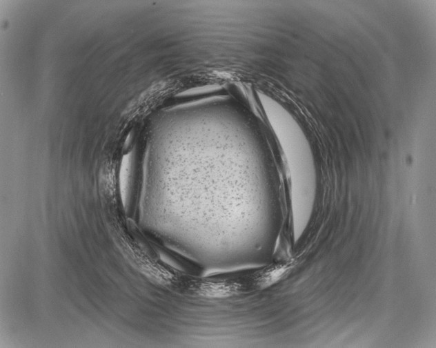 X0000081560613200702051151