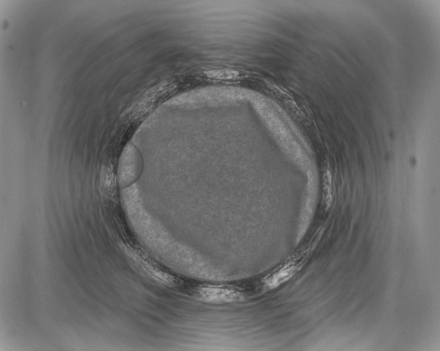 X0000081560614200702051151