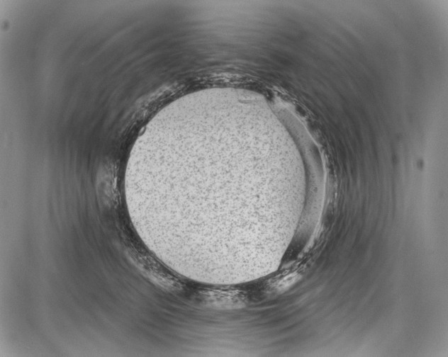 X0000081560615200702051151