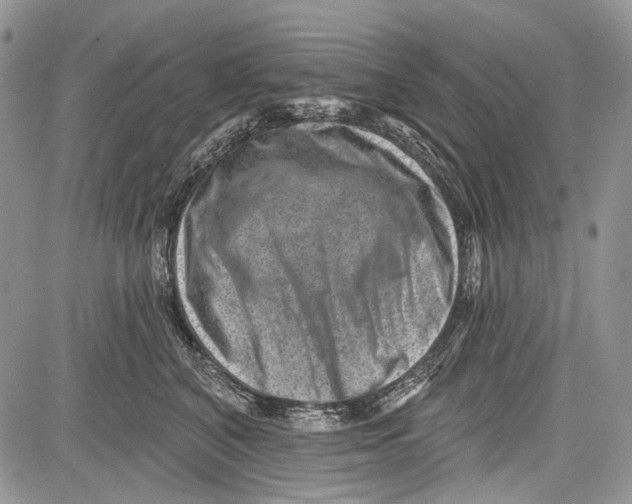 X0000081560616200702051151