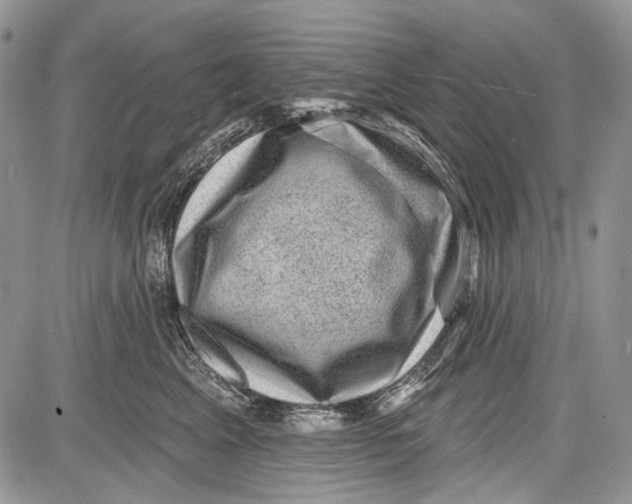 X0000081560617200702051151