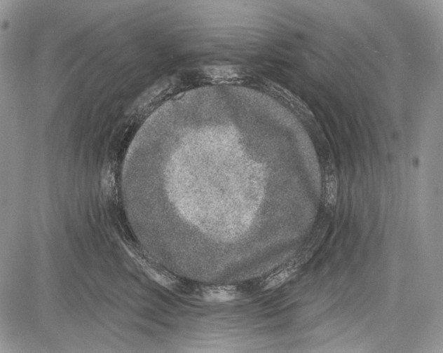 X0000081560618200702051151