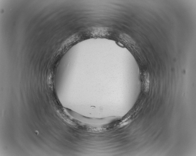 X0000081560619200702051151