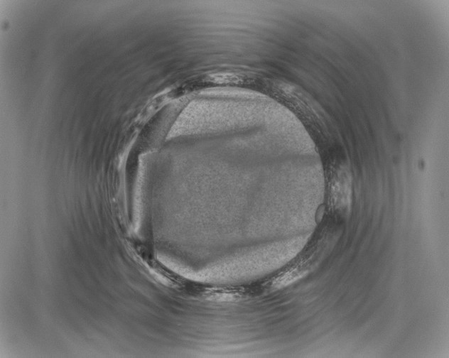 X0000081560620200702051151