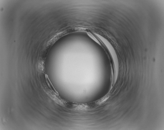 X0000081560621200702051151