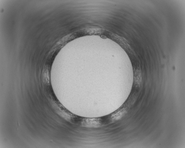 X0000081560622200702051151