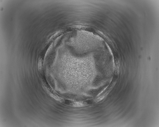 X0000081560623200702051151