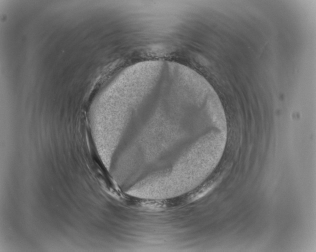 X0000081560624200702051151