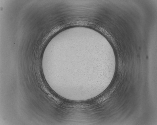 X0000081560625200702051150